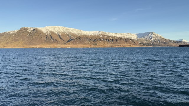 IMG 0092
