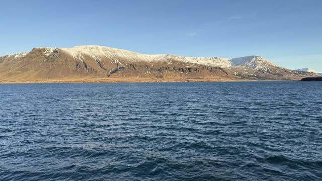 IMG 0093
