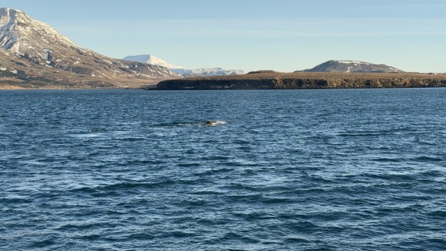 IMG 0097