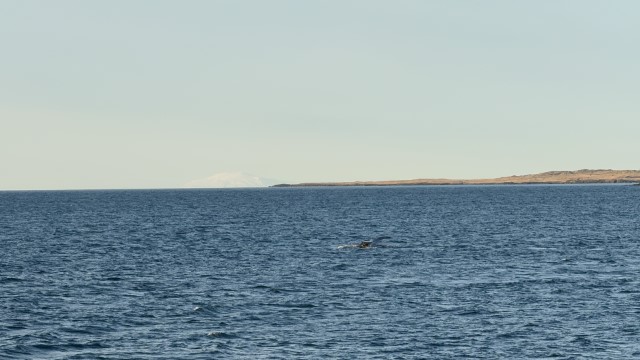 IMG 0104