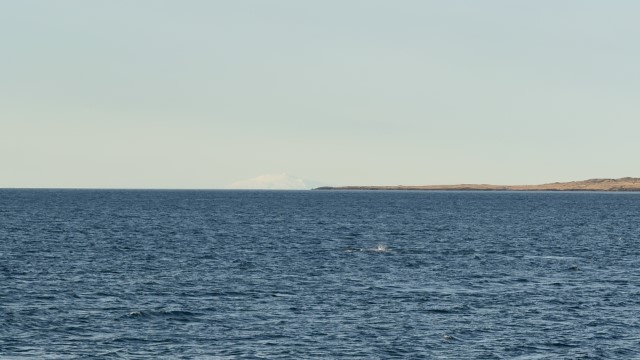IMG 0105