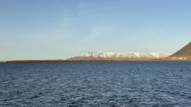 IMG 0107