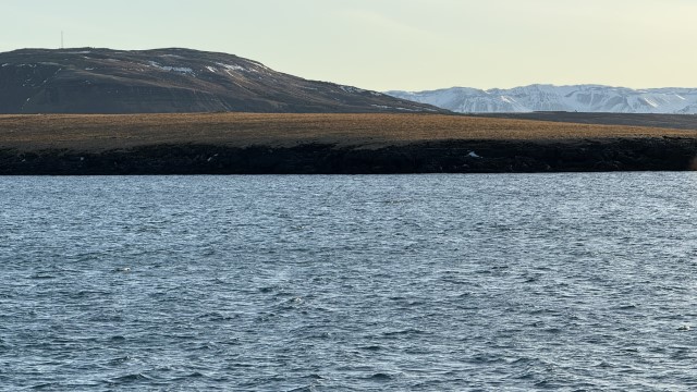 IMG 0121