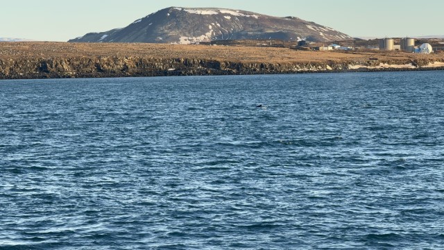 IMG 0127