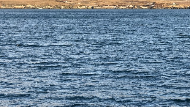 IMG 0137