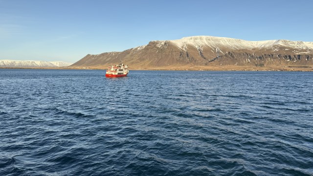IMG 0146