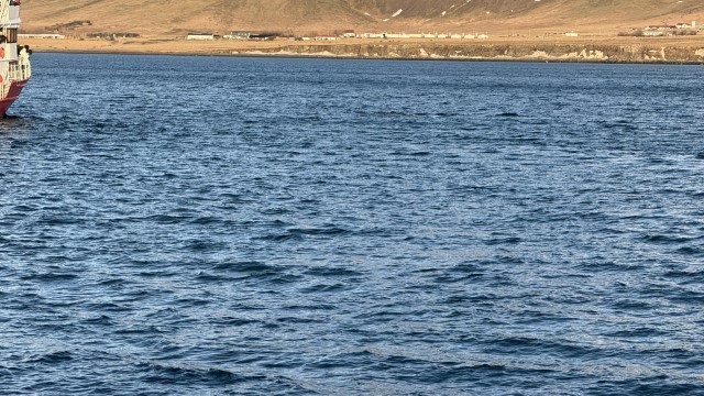 IMG 0147