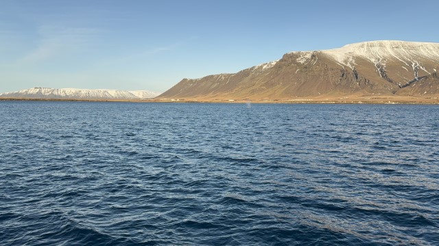 IMG 0159