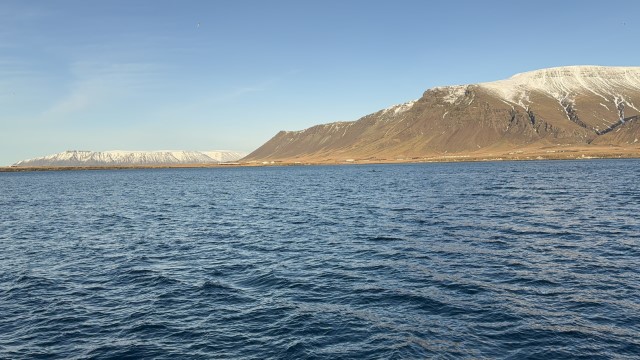 IMG 0160