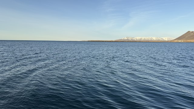 IMG 0171