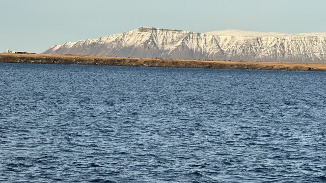 IMG 0173