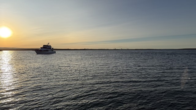 IMG 0174