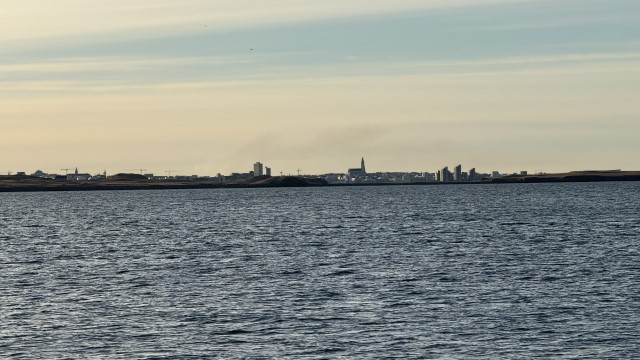 IMG 0175