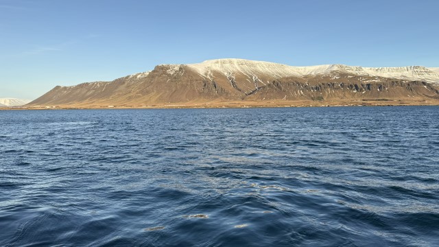 IMG 0178