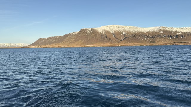 IMG 0179