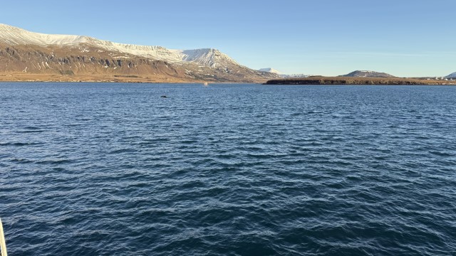 IMG 0195