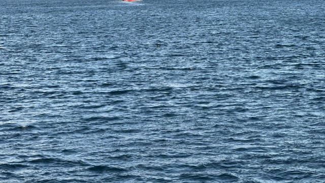 IMG 0196