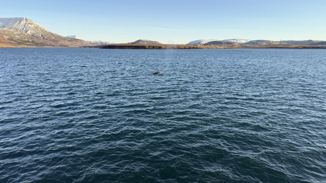 IMG 0206