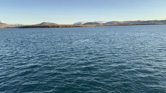 IMG 0210