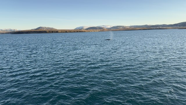 IMG 0211