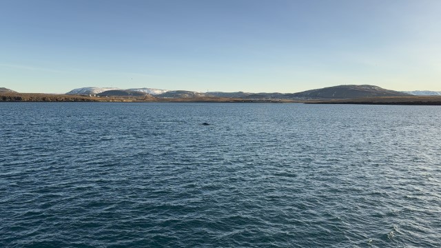 IMG 0214
