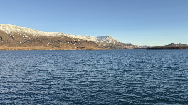 IMG 0220