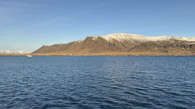IMG 0221