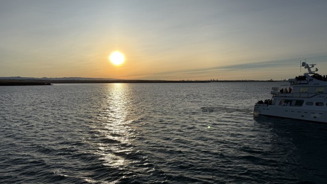IMG 0227