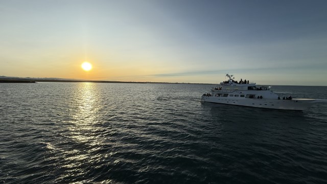 IMG 0228