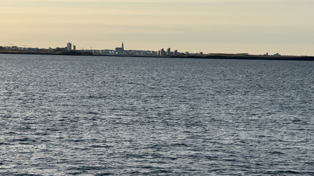 IMG 0229