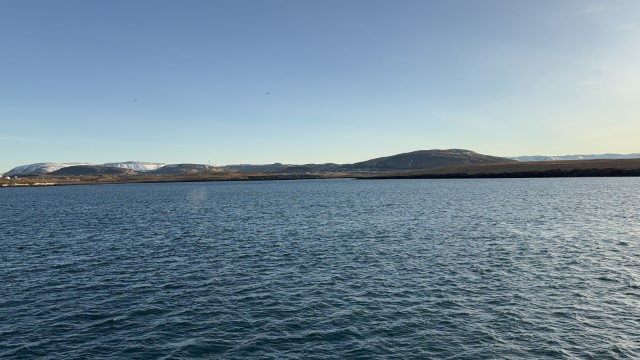IMG 0234
