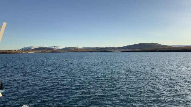 IMG 0236