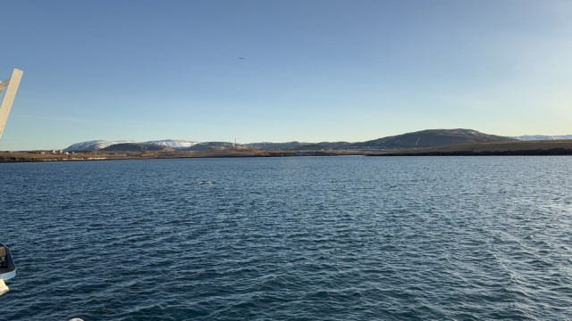 IMG 0237