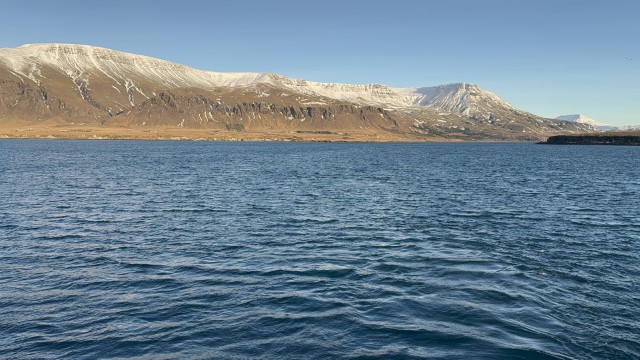 IMG 0245