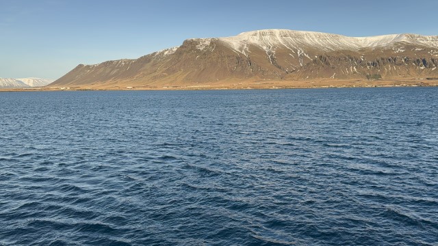 IMG 0246