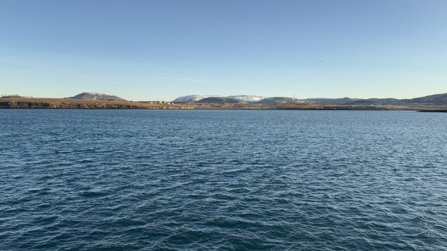 IMG 0253