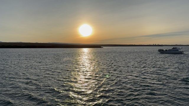 IMG 0257