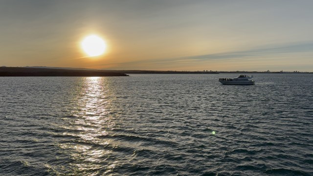 IMG 0258