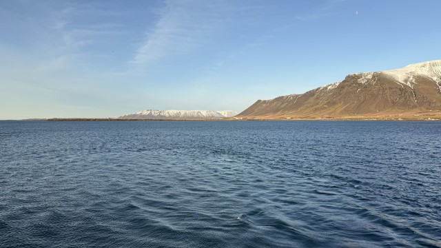 IMG 0266