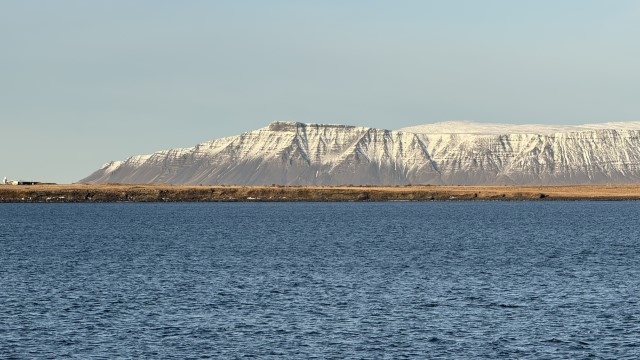 IMG 0267