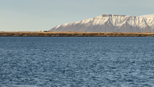 IMG 0278