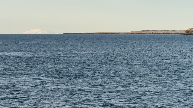 IMG 0280
