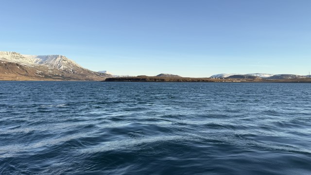 IMG 0285