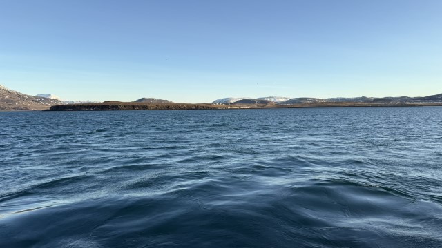 IMG 0287