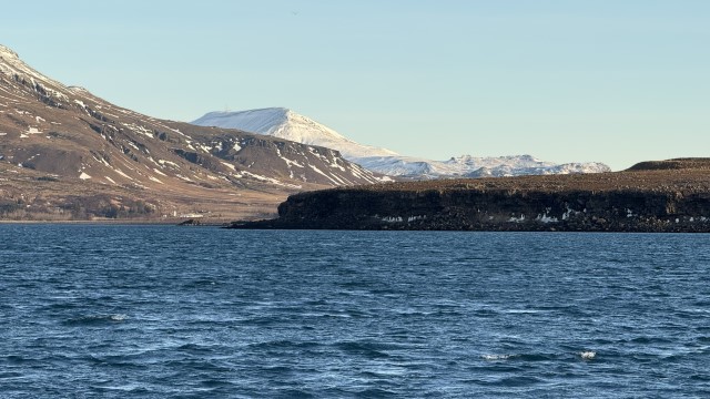 IMG 0288
