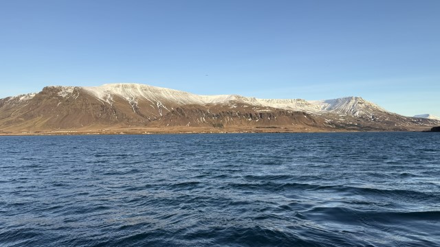 IMG 0289