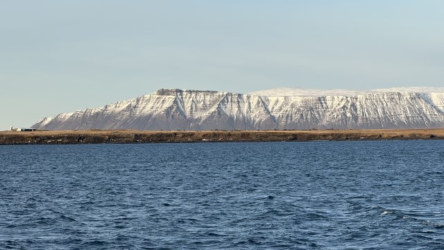 IMG 0292