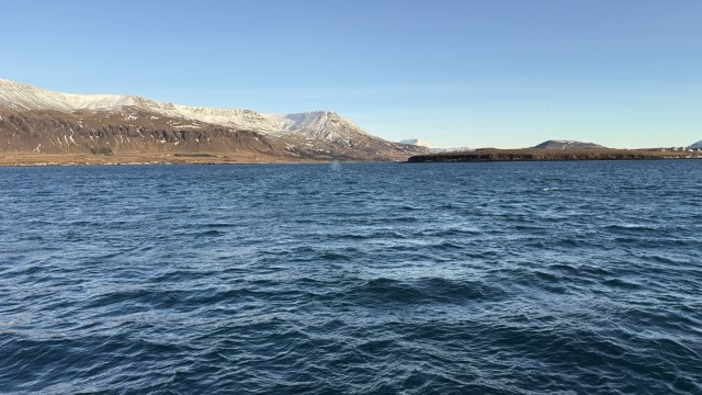 IMG 0293