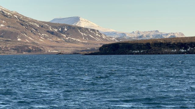 IMG 0296