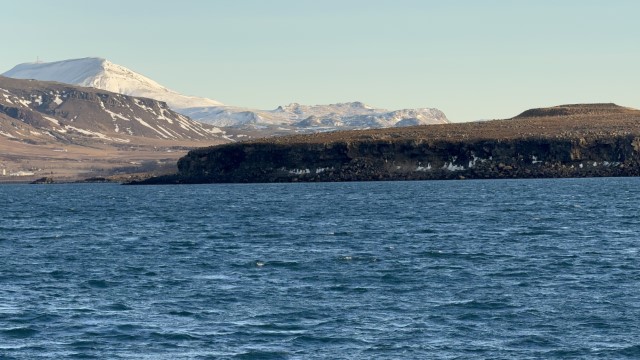IMG 0297